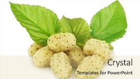  Presentation with white mulberry - PPT layouts consisting of fresh mulberry with green leaves background and a  colored foreground