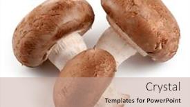  Presentation with mushroom - Audience pleasing PPT theme consisting of fresh-mushroom-champignon-isolated backdrop and a coral colored foreground