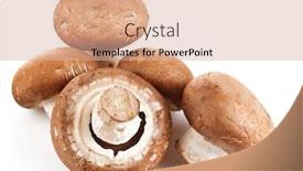  Presentation with mushroom - Cool new PPT theme with fresh-mushroom-champignon-isolated backdrop and a lemonade colored foreground