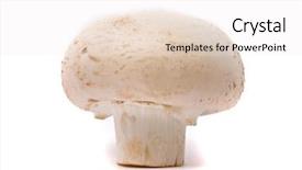  Presentation with button mushroom fresh mushroom - Amazing theme having fresh mushroom isolated backdrop and a white colored foreground