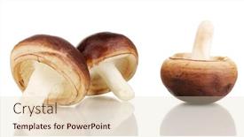  Presentation with mushrooms - Colorful presentation theme enhanced with fresh-mushrooms-isolated-on-white backdrop and a lemonade colored foreground