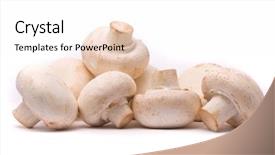  Presentation with button mushroom fresh mushroom - Presentation having fresh mushrooms isolated background and a  colored foreground
