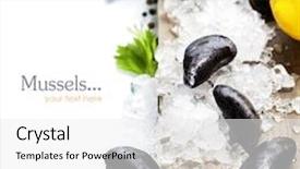  Presentation with sample - Slide deck having fresh mussels on ice ready for cooking with easy removable sample text background and a white colored foreground