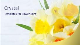  Presentation with narcissus - 