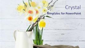  Presentation with narcissus - 