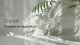  Presentation with tropical - Slides having fresh-natural-branches-of-evergreen background and a light gray colored foreground