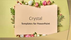  Presentation with congratulation - Amazing theme having fresh-natural-organic-flower-frame backdrop and a lemonade colored foreground