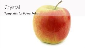  Presentation with dutch - PPT layouts enhanced with sissy - fresh new dutch apple variety background and a white colored foreground