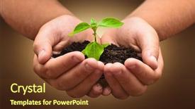  Presentation with green life - PPT theme consisting of fresh new life - green plant in a child background and a tawny brown colored foreground