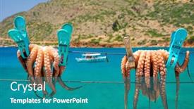  Presentation with crete island - Beautiful slide set featuring fresh-octopus-drying backdrop and a teal colored foreground