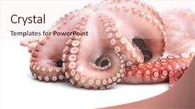  Presentation with octopus - Slide set having fresh octopus isolated background and a lemonade colored foreground