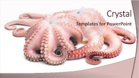  Presentation with octopus - Slide set with fresh octopus isolated background and a lemonade colored foreground