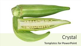  Presentation with okra - Audience pleasing presentation theme consisting of fresh okra fruit vegetable isolated backdrop and a blonde colored foreground