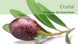  Presentation with olive - Slides with fresh-olive-berry-on-olive background and a mint green colored foreground