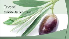  Presentation with leaves - Slide deck having fresh-olives-with-leaves background and a seafoam green colored foreground