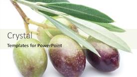 Presentation with leaves - Colorful theme enhanced with fresh-olives-with-leaves backdrop and a soft green colored foreground
