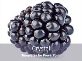 Fresh One Berry Blackberry Side PPT template 5 | CrystalGraphics
