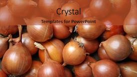  Presentation with onion - PPT theme featuring fresh onions background background and a red colored foreground