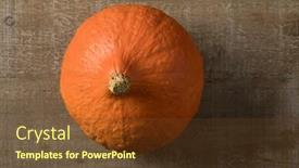 Presentation with hokkaido - Presentation theme consisting of fresh-orange-hokkaido-pumpkin-close background and a tawny brown colored foreground