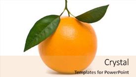  Presentation with orange green white - PPT theme consisting of fresh orange macro studio shot background and a  colored foreground