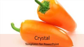  Presentation with capsicum - Audience pleasing theme consisting of fresh orange peppers capsicum on a white background backdrop and a gold colored foreground