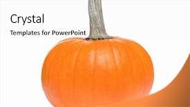  Presentation with ornamental plants - Cool new theme with fresh orange pumpkin isolated backdrop and a white colored foreground