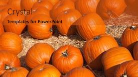  Presentation with rustic - Presentation theme consisting of fresh-orange-pumpkins-and-hay background and a gold colored foreground