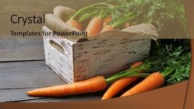  Presentation with carrots - Beautiful theme featuring food crates - fresh organic carrots in box backdrop and a coral colored foreground