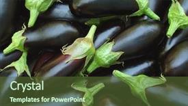  Presentation with eggplant - Slide deck consisting of fresh organic eggplants as food background and a tawny brown colored foreground