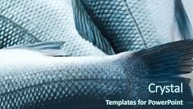  Presentation with fish scales - PPT theme having fresh organic fish on white background and a ocean colored foreground