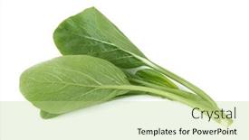  Presentation with green fresh food - PPT theme with fresh-organic-green-choy-sum background and a mint green colored foreground