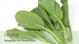  Presentation with green fresh food - Theme featuring fresh-organic-green-choy-sum background and a mint green colored foreground