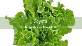  Presentation with lettuce - Slides featuring fresh-organic-green-leafy-lettuce background and a tawny brown colored foreground