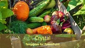  Presentation with organic - PPT theme featuring fresh-organic-vegeatables background and a tawny brown colored foreground