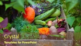  Presentation with organic - Beautiful presentation featuring fresh-organic-vegetables backdrop and a tawny brown colored foreground