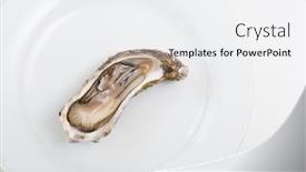  Presentation with white plate - Audience pleasing slide set consisting of fresh-oyster-raw-fresh-oyster backdrop and a white colored foreground