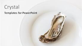 Presentation with white plate - Cool new PPT theme with fresh-oyster-raw-fresh-oyster backdrop and a white colored foreground