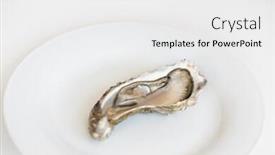  Presentation with white plate - Slide set enhanced with fresh-oyster-raw-fresh-oyster background and a white colored foreground