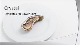  Presentation with white plate - Amazing presentation design having fresh-oyster-raw-fresh-oyster backdrop and a white colored foreground