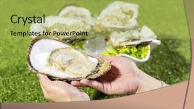  Presentation with oyster mushrooms fresh mushrooms - Colorful PPT theme enhanced with fresh oyster thai style seafood backdrop and a yellow colored foreground