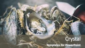  Presentation with oyster - Theme with fresh oysters close-up background and a gray colored foreground