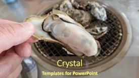  Presentation with barbecue - 