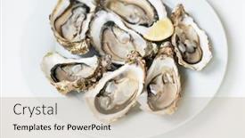  Presentation with white plate - PPT theme featuring fresh-oysters-raw-fresh-oysters background and a coral colored foreground