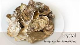  Presentation with oyster - Presentation with fresh oysters raw fresh oysters background and a coral colored foreground