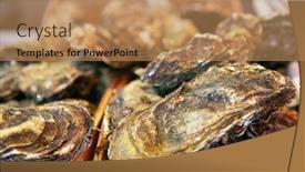  Presentation with market - Cool new theme with fresh-oysters-sale-on-outdoor backdrop and a coral colored foreground