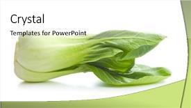  Presentation with fresh ginger root on white - PPT theme enhanced with fresh pak choi cabbage isolated background and a white colored foreground