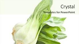  Presentation with cabbage - Beautiful PPT theme featuring fresh pak choi cabbage isolated backdrop and a soft green colored foreground