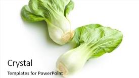  Presentation with cabbage - Presentation design with fresh pak choi cabbage isolated background and a white colored foreground