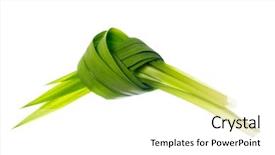  Presentation with tea leaves fresh green leaf - PPT theme having leaves isolated on white background background and a white colored foreground