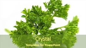  Presentation with herb - Cool new presentation with fresh parsley herb on white background backdrop and a tawny brown colored foreground